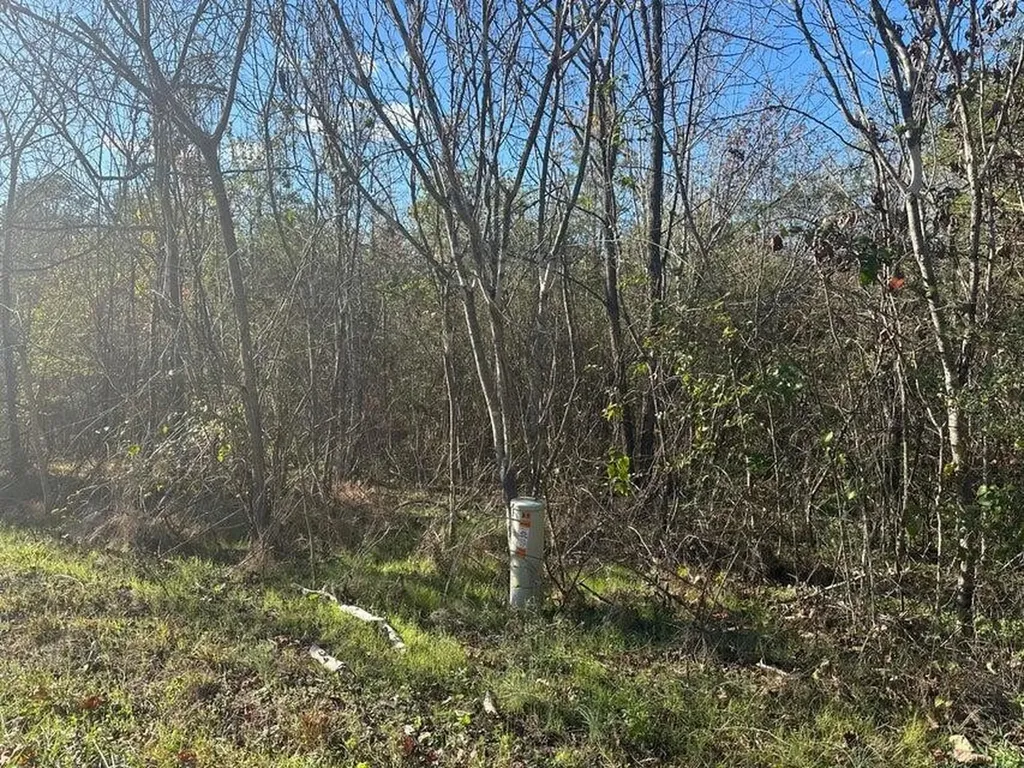 0 Mt Carmel Road Decatur TN 37322