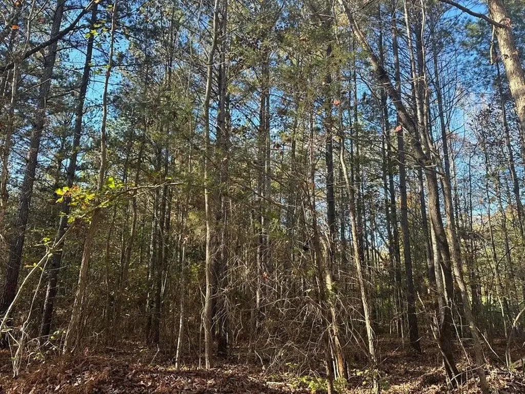 0 Mt Carmel Road Decatur TN 37322