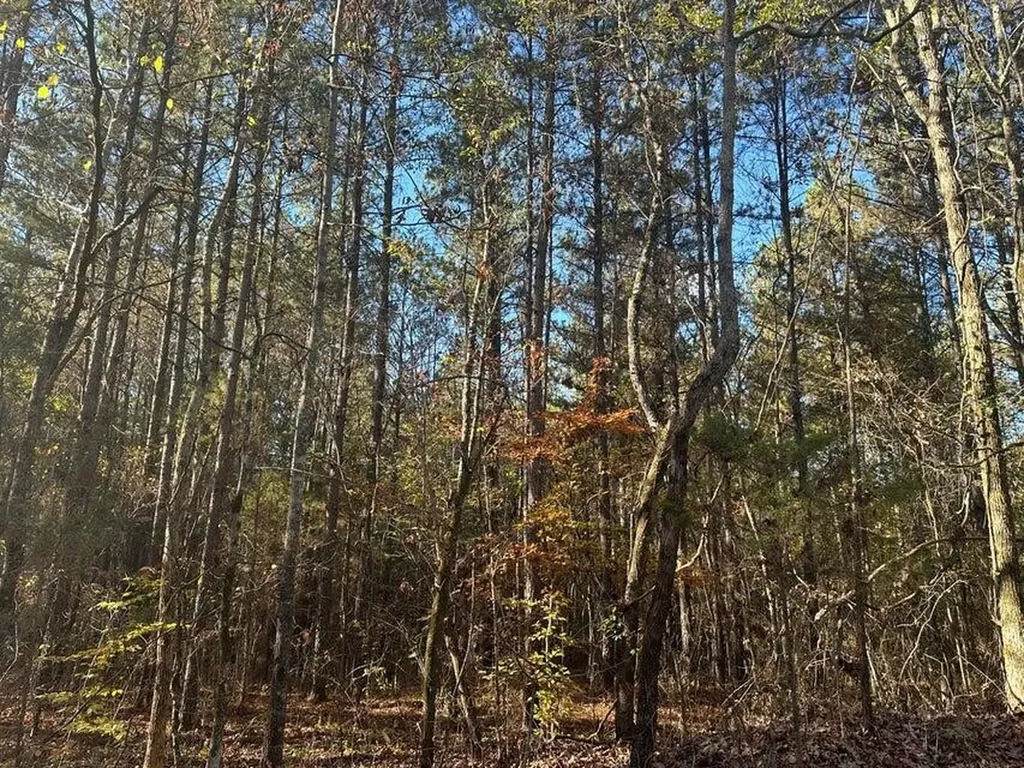 0 Mt Carmel Road Decatur TN 37322