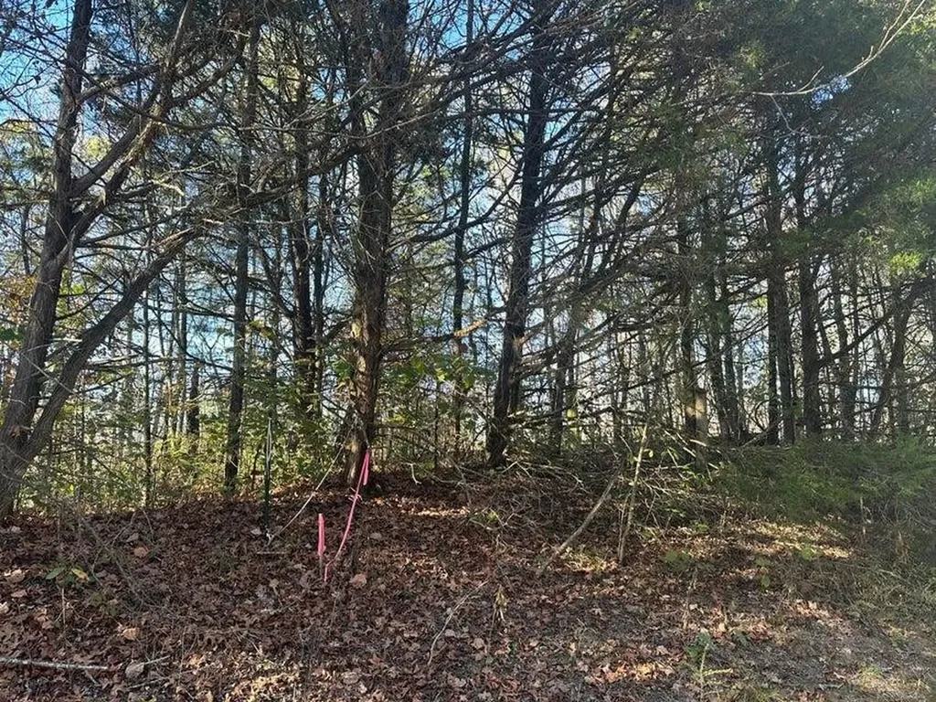 0 Mt Carmel Road Decatur TN 37322