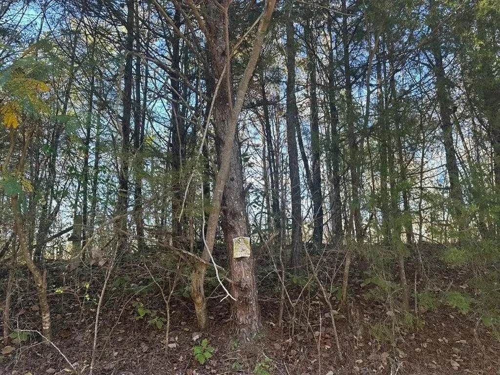 0 Mt Carmel Road Decatur TN 37322