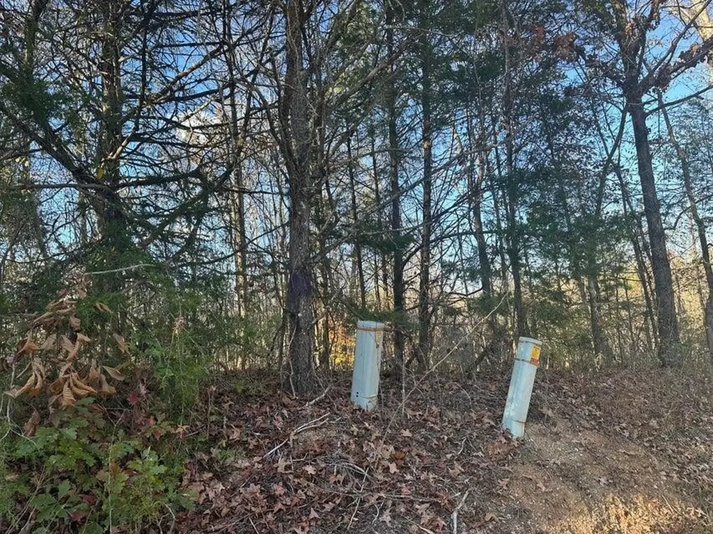 0 Mt Carmel Road Decatur TN 37322