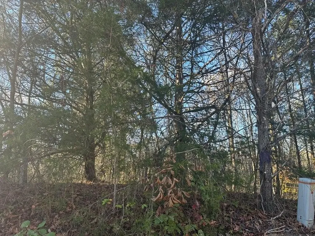 0 Mt Carmel Road Decatur TN 37322