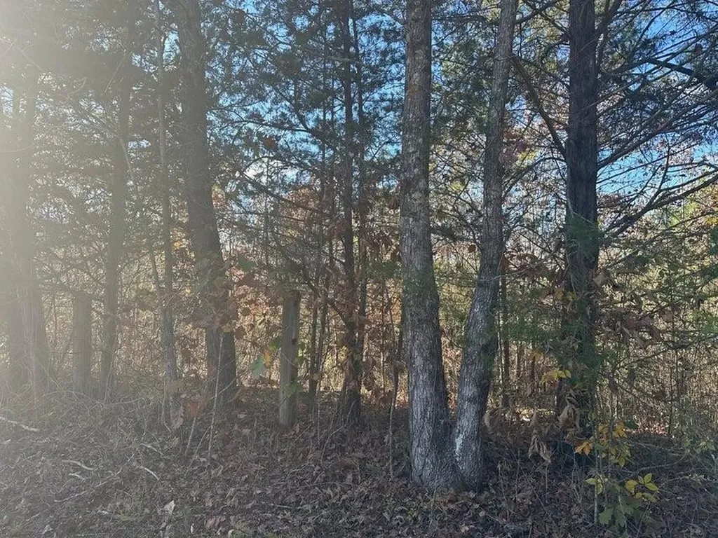 0 Mt Carmel Road Decatur TN 37322