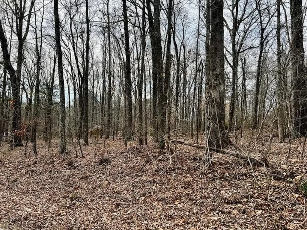 380 County Road 709 Riceville TN 37370