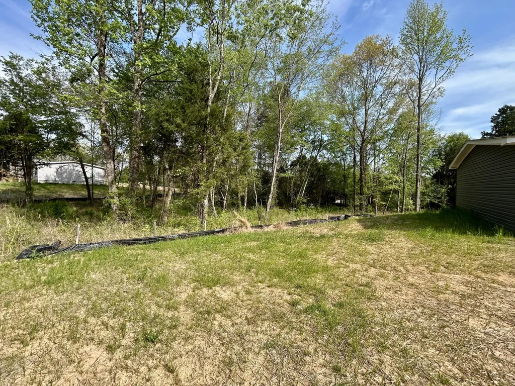 224 Sable Road Spring City TN 37381