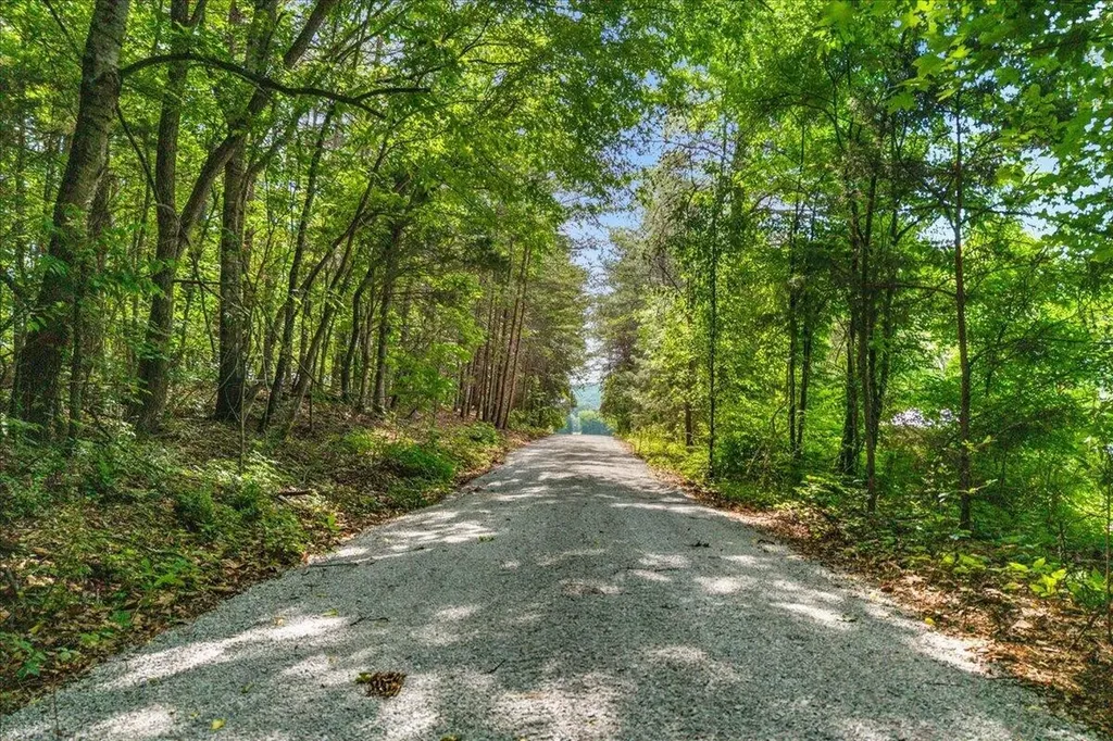 21 County Road 675 Riceville TN 37370