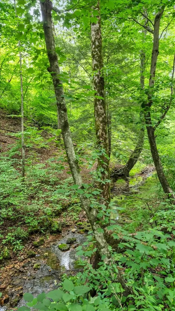 488 Prater Road Smithville TN 37166