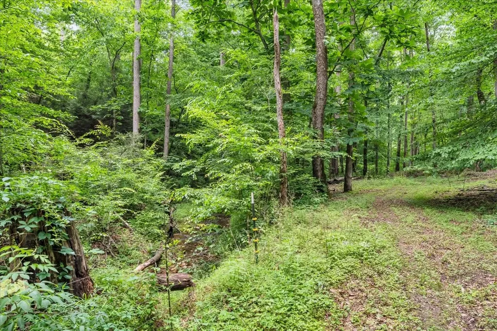 488 Prater Road Smithville TN 37166