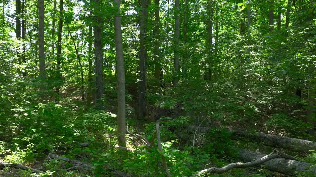0 Oak Hill Lyles TN 37098