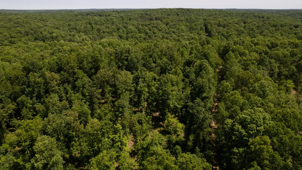 0 Oak Hill Lyles TN 37098