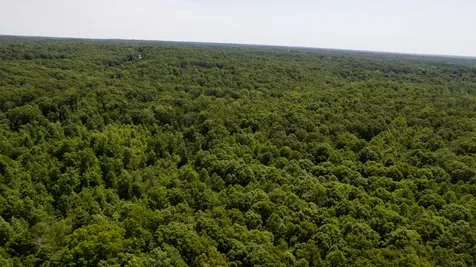 0 Oak Hill Lyles TN 37098