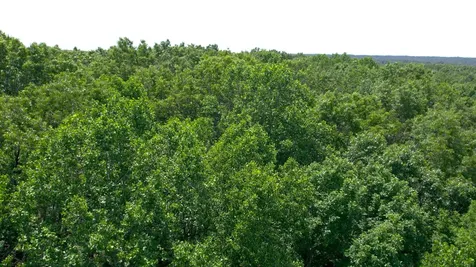 0 Oak Hill Lyles TN 37098