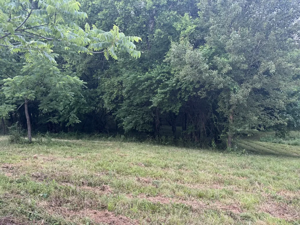 0 Hickerson Road Wartrace TN 37183