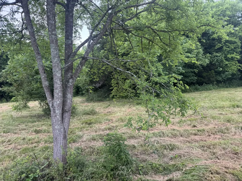 0 Hickerson Road Wartrace TN 37183
