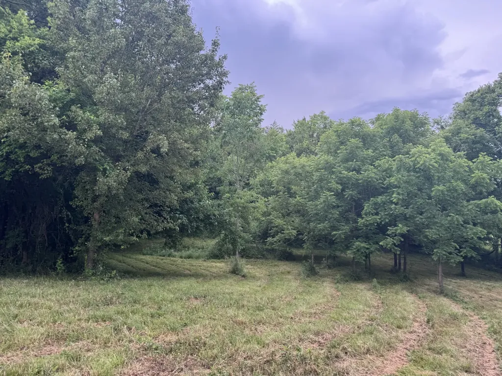 0 Hickerson Road Wartrace TN 37183