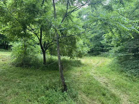 0 Hickerson Road Wartrace TN 37183