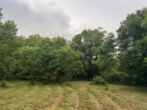 0 Hickerson Road Wartrace TN 37183