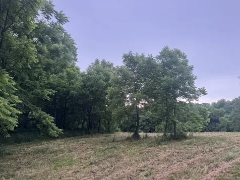 0 Hickerson Road Wartrace TN 37183