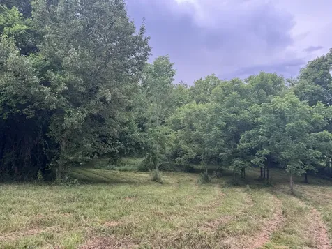 0 Hickerson Road Wartrace TN 37183