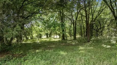 0 Hickerson Road Wartrace TN 37183