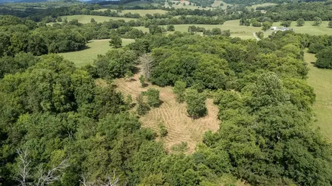 0 Hickerson Road Wartrace TN 37183