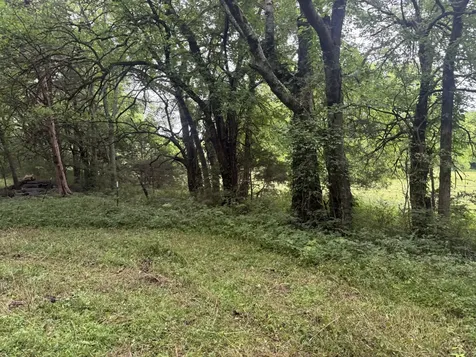 0 Hickerson Road Wartrace TN 37183