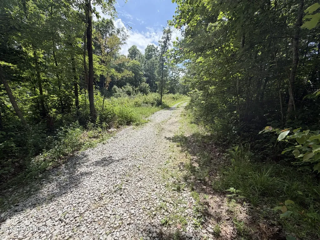 768 Remington Road Jamestown TN 38556