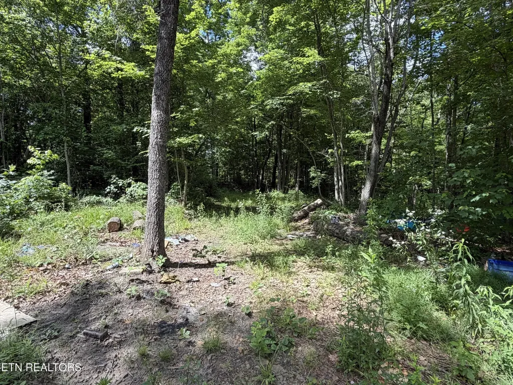 768 Remington Road Jamestown TN 38556