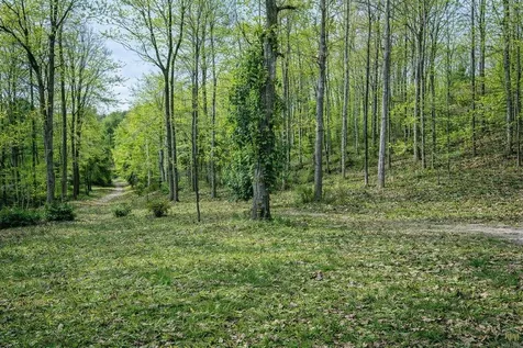 1135 Mink Branch Road Waynesboro TN 38485