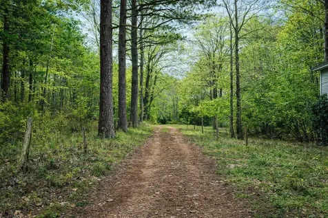 1135 Mink Branch Road Waynesboro TN 38485