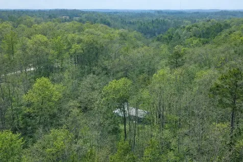 1135 Mink Branch Road Waynesboro TN 38485
