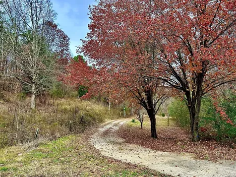 1135 Mink Branch Road Waynesboro TN 38485