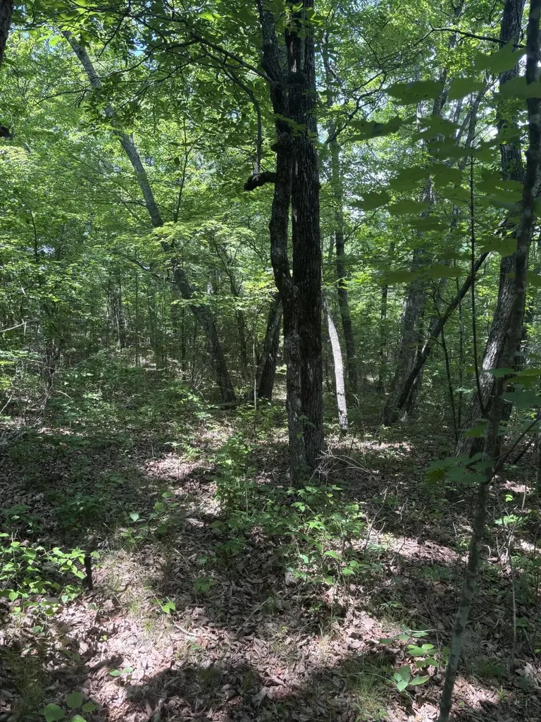 0 Sawmill Creek Road Dunlap TN 37327