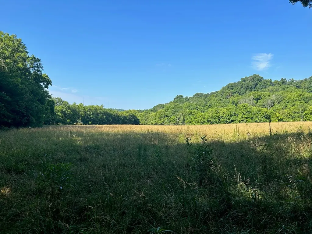501 Tallent Road Pulaski TN 38478