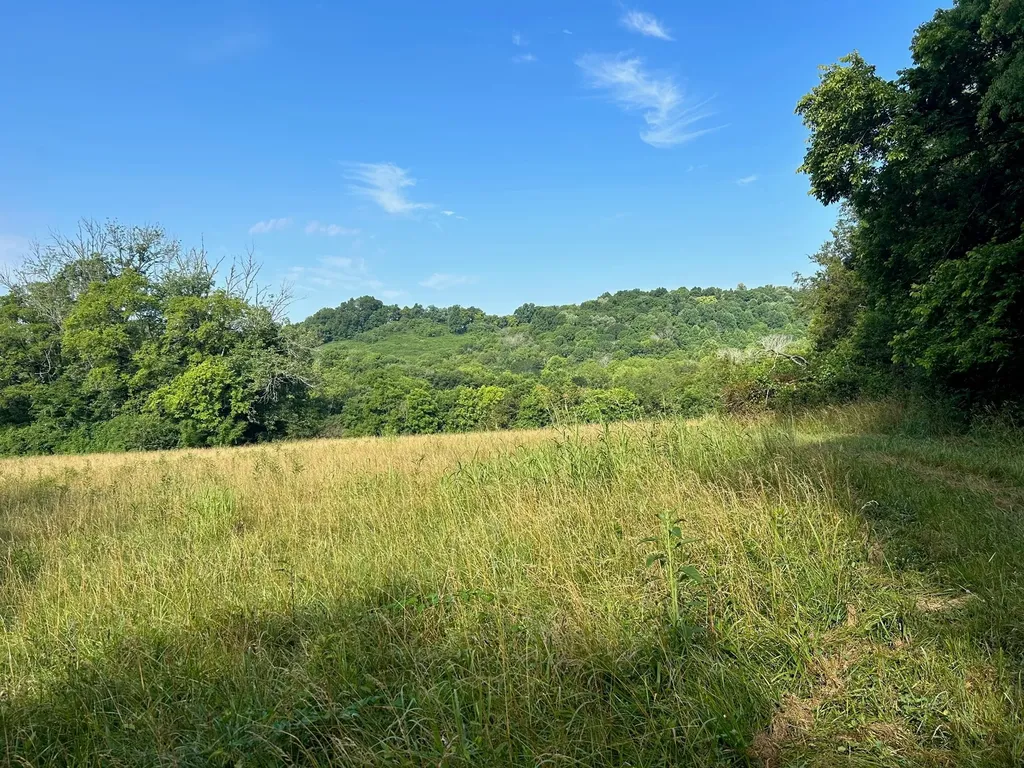 501 Tallent Road Pulaski TN 38478
