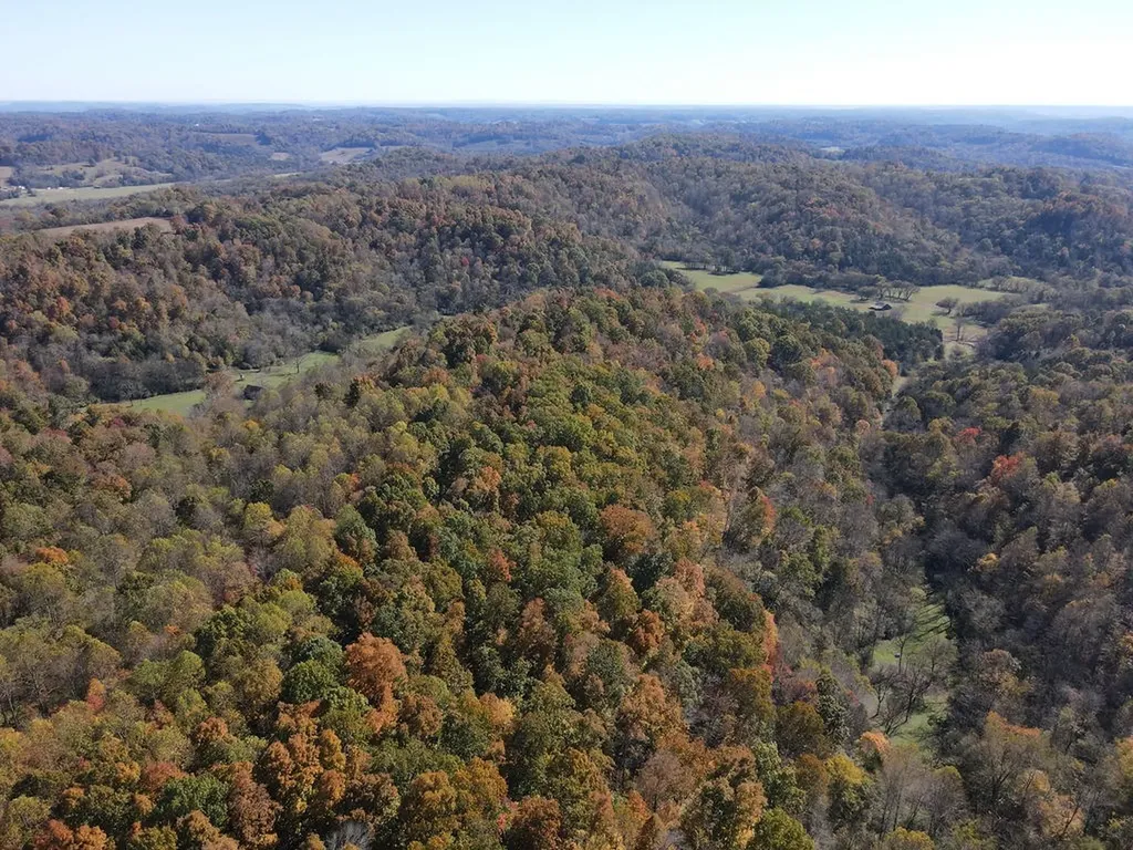 501 Tallent Road Pulaski TN 38478
