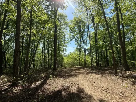 0 Laurel Lake Drive Monteagle TN 37356