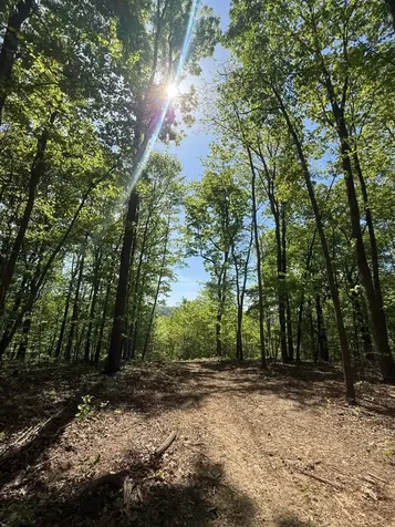 0 Laurel Lake Drive Monteagle TN 37356