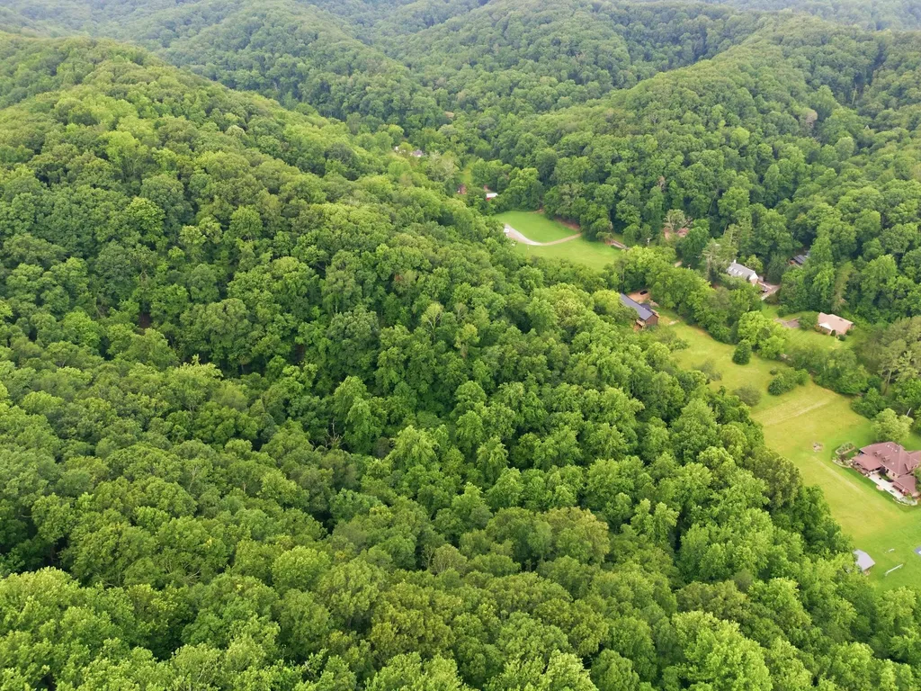 5034 Seymour Hollow Road Whites Creek TN 37189