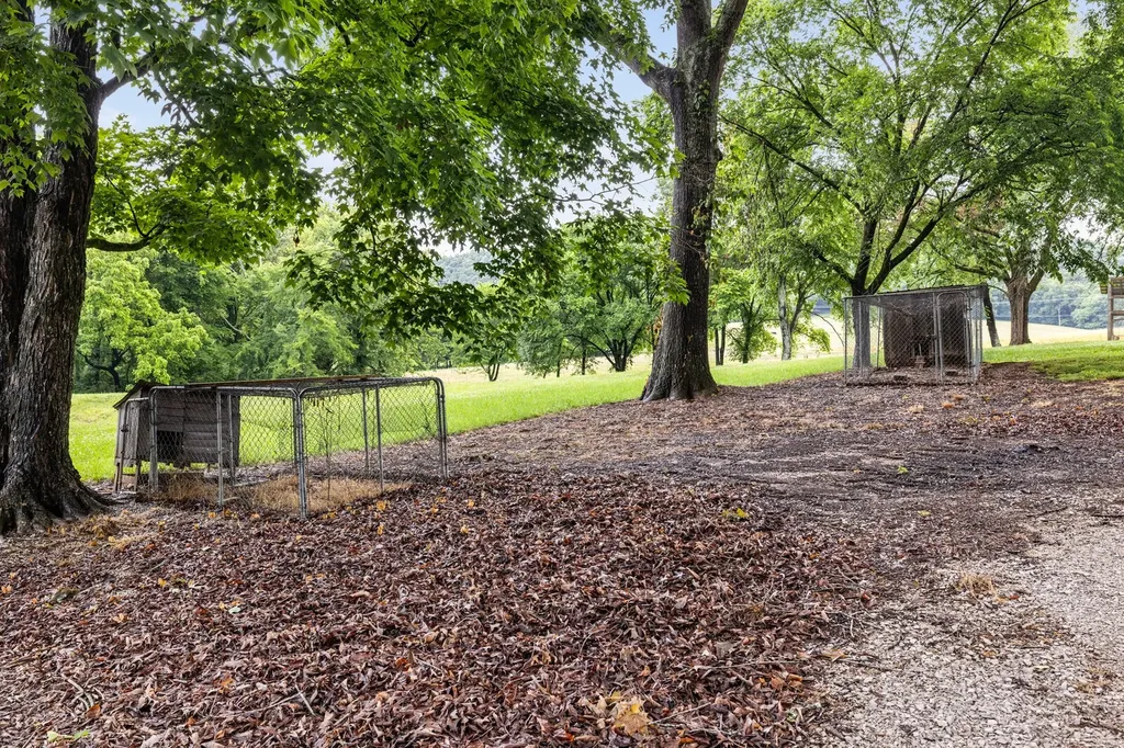 380 Webbs Camp Road Walling TN 38587