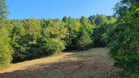 48 Hannah Br Road Petersburg TN 37144