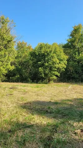 48 Hannah Br Road Petersburg TN 37144