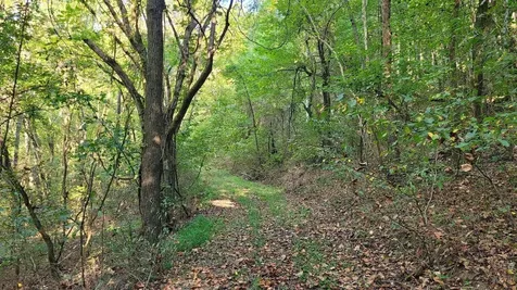 48 Hannah Br Road Petersburg TN 37144