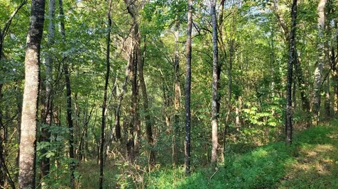 48 Hannah Br Road Petersburg TN 37144
