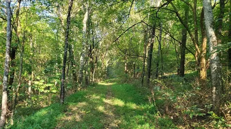48 Hannah Br Road Petersburg TN 37144
