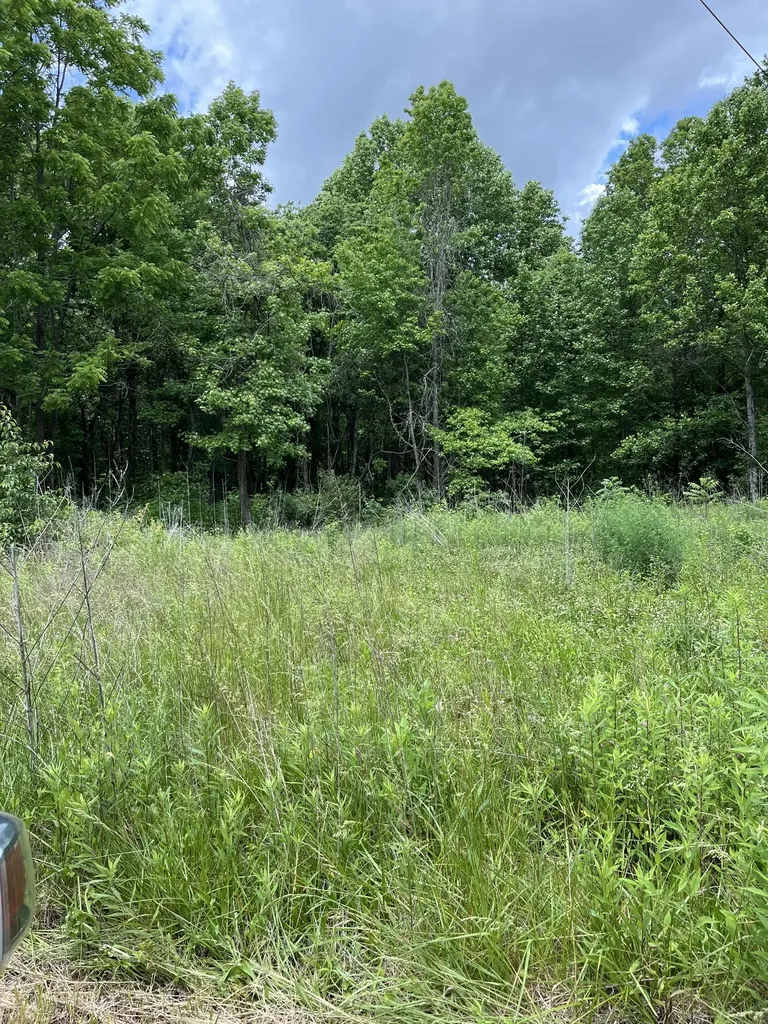 349 Fire Tower Road Tracy City TN 37387
