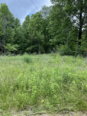 349 Fire Tower Road Tracy City TN 37387