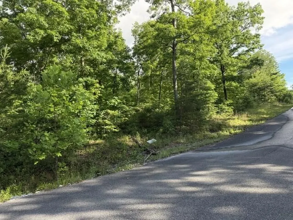 196 Big Bluff View Pikeville TN 37367