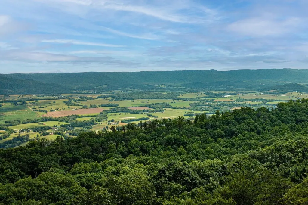 196 Big Bluff View Pikeville TN 37367